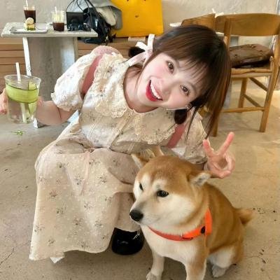失忆的总理大臣